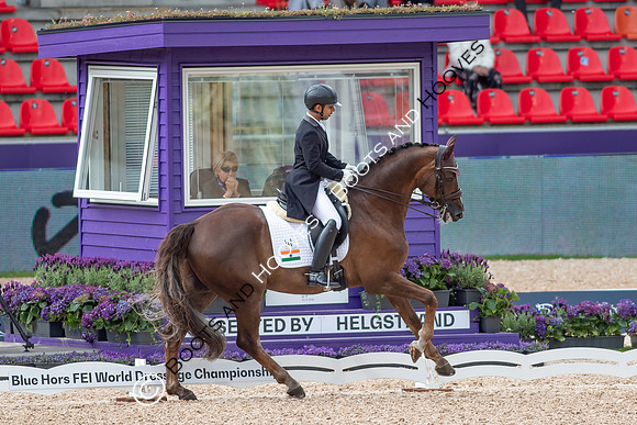 The FEI World Championships Herning 2022