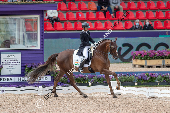 The FEI World Championships Herning 2022