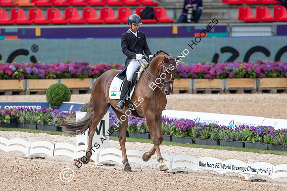 The FEI World Championships Herning 2022