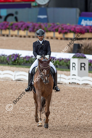 The FEI World Championships Herning 2022