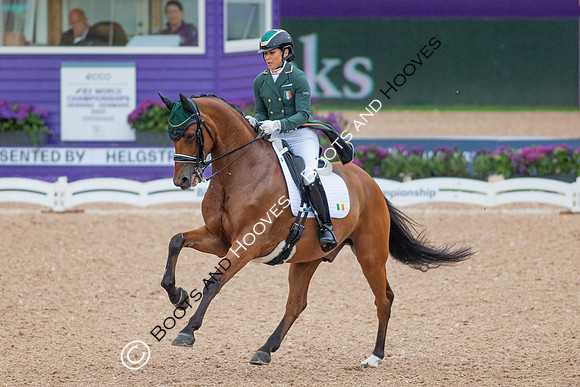The FEI World Championships Herning 2022