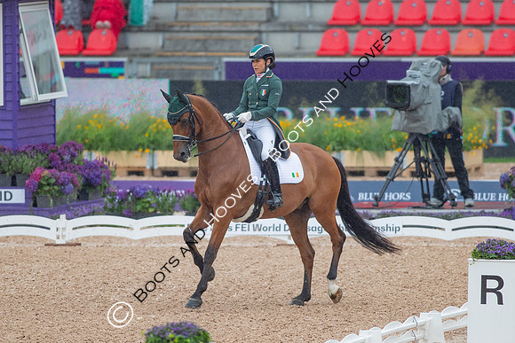 The FEI World Championships Herning 2022