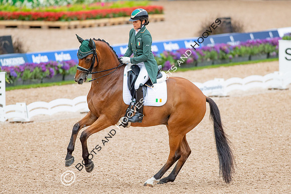 The FEI World Championships Herning 2022