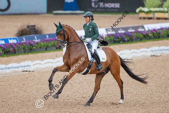 The FEI World Championships Herning 2022