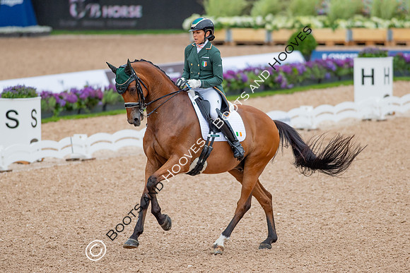 The FEI World Championships Herning 2022