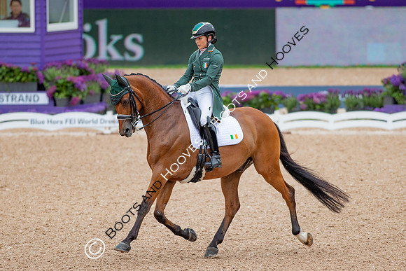 The FEI World Championships Herning 2022