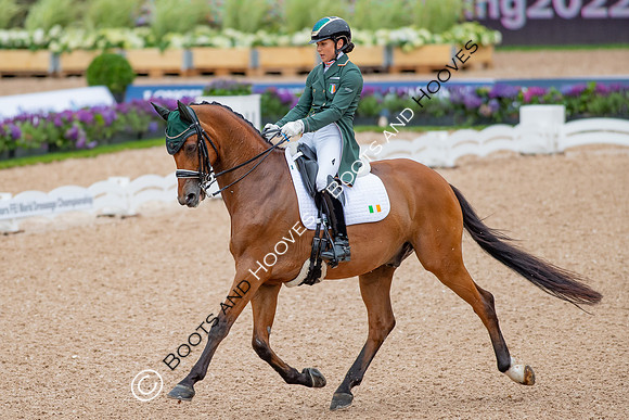 The FEI World Championships Herning 2022