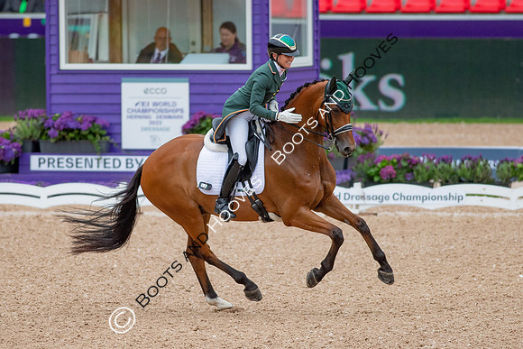 The FEI World Championships Herning 2022