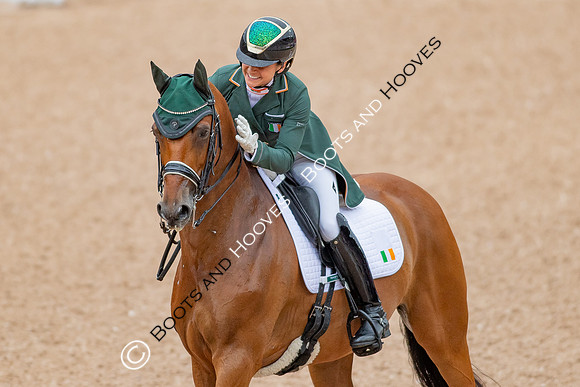 The FEI World Championships Herning 2022