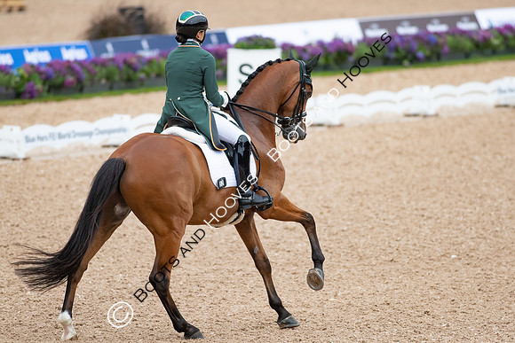 The FEI World Championships Herning 2022
