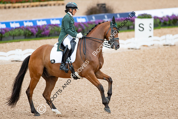 The FEI World Championships Herning 2022