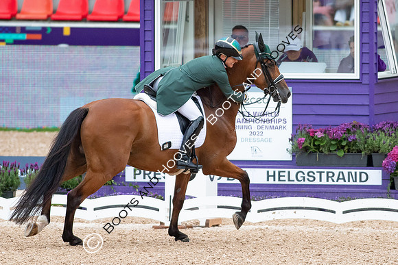 The FEI World Championships Herning 2022