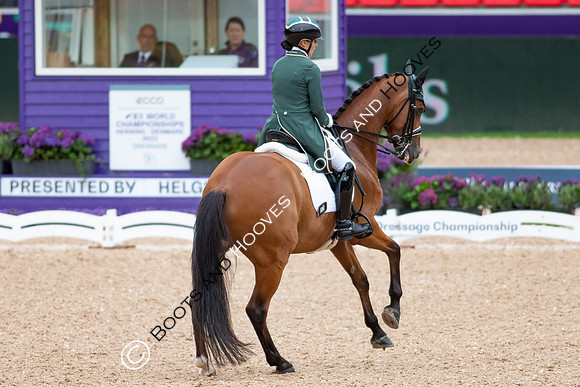 The FEI World Championships Herning 2022