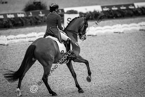 The FEI World Championships Herning 2022