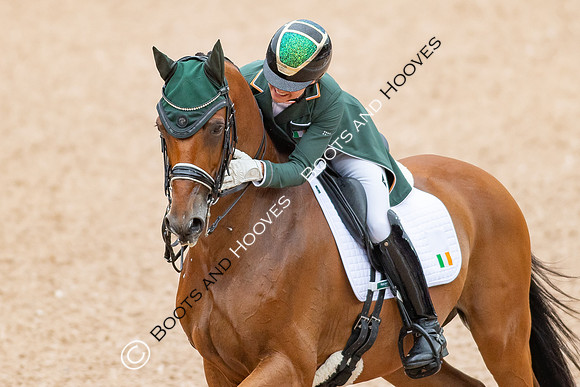 The FEI World Championships Herning 2022
