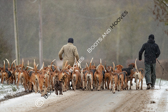 Hound Exercise