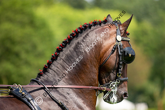 The Prenetics Royal International Horse Show