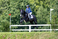 The Al Shira’aa Hickstead Derby
