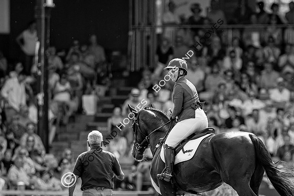 The Al Shira’aa Hickstead Derby