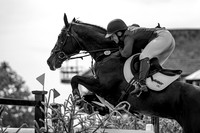The Al Shira’aa Hickstead Derby