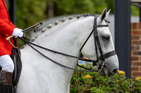 The Al Shira’aa Hickstead Derby