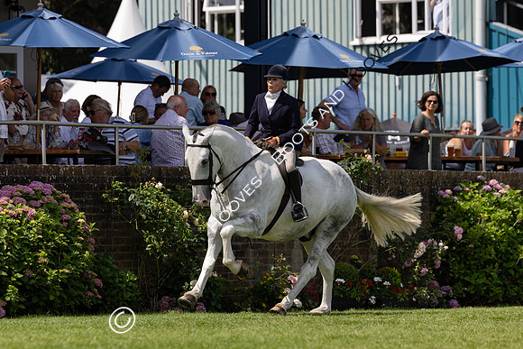 The Al Shira’aa Hickstead Derby