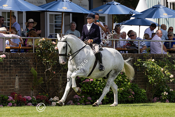 The Al Shira’aa Hickstead Derby