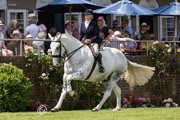 The Al Shira’aa Hickstead Derby