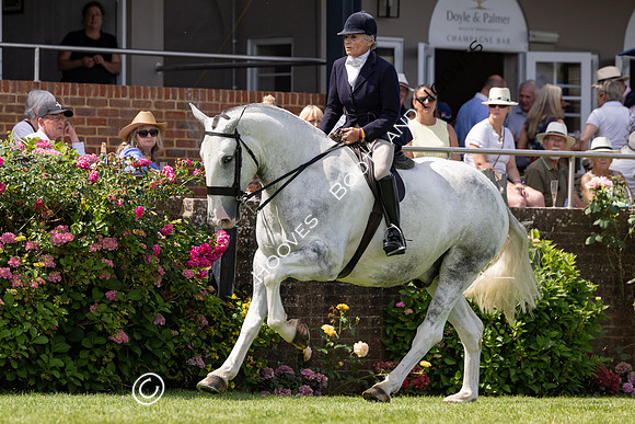 The Al Shira’aa Hickstead Derby