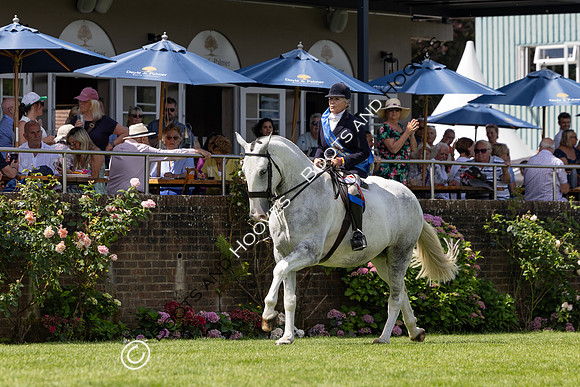The Al Shira’aa Hickstead Derby