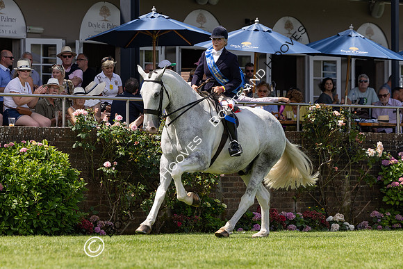 The Al Shira’aa Hickstead Derby