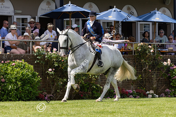 The Al Shira’aa Hickstead Derby