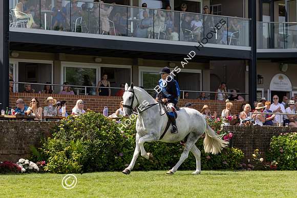 The Al Shira’aa Hickstead Derby