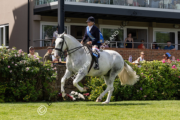 The Al Shira’aa Hickstead Derby