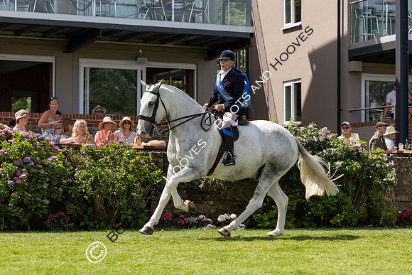 The Al Shira’aa Hickstead Derby