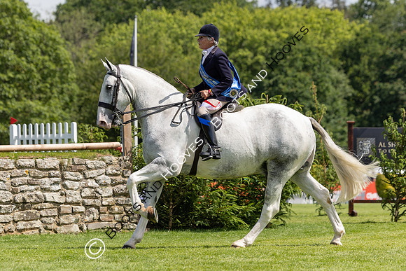 The Al Shira’aa Hickstead Derby