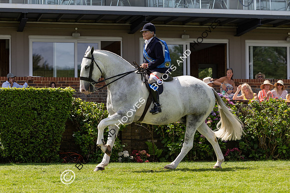 The Al Shira’aa Hickstead Derby