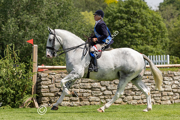 The Al Shira’aa Hickstead Derby