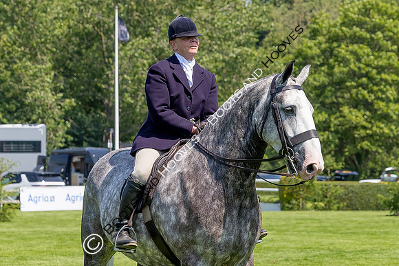 The Al Shira’aa Hickstead Derby