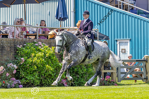 The Al Shira’aa Hickstead Derby