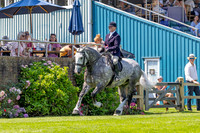 The Al Shira’aa Hickstead Derby