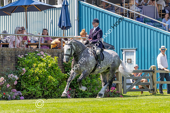 The Al Shira’aa Hickstead Derby