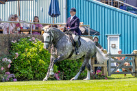 The Al Shira’aa Hickstead Derby