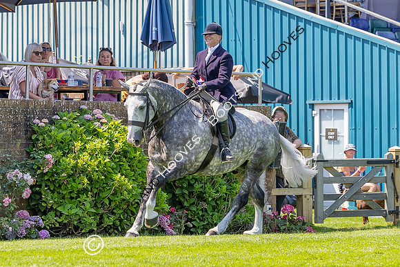 The Al Shira’aa Hickstead Derby