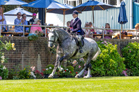 The Al Shira’aa Hickstead Derby