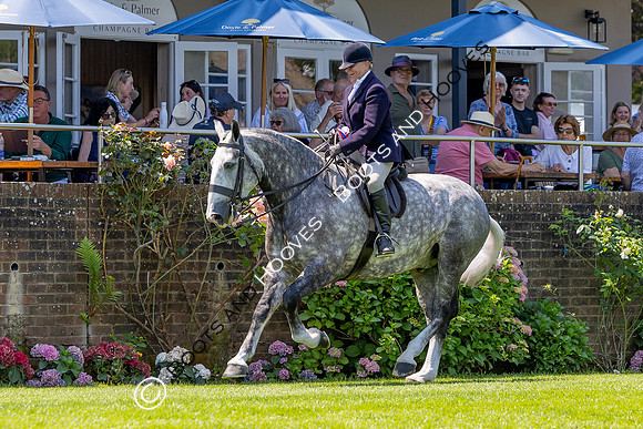 The Al Shira’aa Hickstead Derby