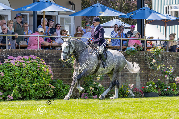 The Al Shira’aa Hickstead Derby