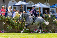 The Al Shira’aa Hickstead Derby