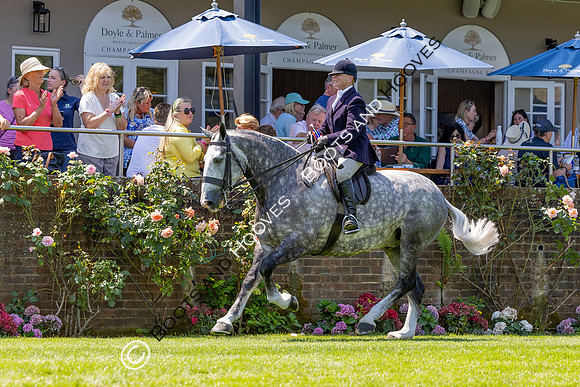 The Al Shira’aa Hickstead Derby