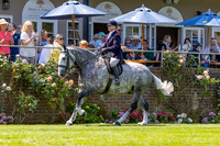The Al Shira’aa Hickstead Derby
